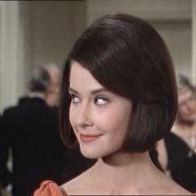 La bella Diane Baker in una scena del film Marnie (1964 )