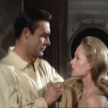 Sean Connery e Tippi Hedren in una scena del film Marnie ( 1964 )