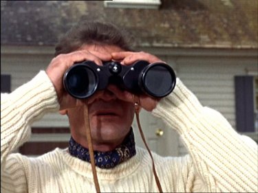 Rod Taylor in una scena del film Gli uccelli ( 1963 )
