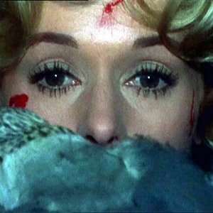 Tippi Hedren attaccata dagli uccelli nel film di Alfred Hitchcock.