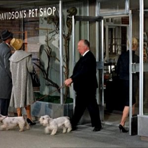 Alfred Hitchcock in un cameo nel film Gli uccelli ( 1963 )