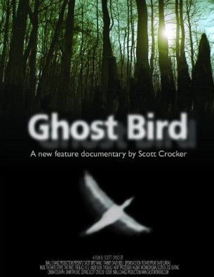 La locandina di Ghost Bird