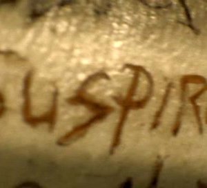 Un fotogramma del film horror Il messaggero - The Haunting in Connecticut: una citazione a Suspiria di Argento?