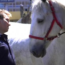 Mark Kostabi nel documentario Con Artist presentato al Festival di Roma nel 2009