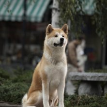 Il protagonista del film Hachiko (2009)