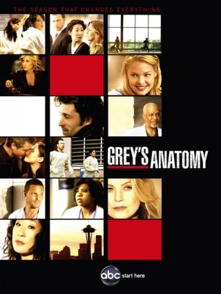 Un poster della stagione 6 di Grey's Anatomy