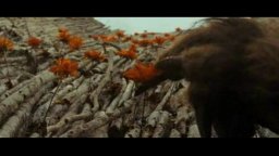 Nel paese delle creature selvagge - Minispot Esclusivo