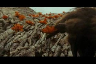 Nel paese delle creature selvagge - Minispot Esclusivo