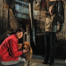 Tom Welling, Erica Durance e Shelby in una scena dell'episodio Il segreto del passato di Smallville