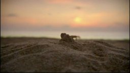 L'incredibile viaggio della Tartaruga - Trailer