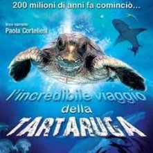 La locandina di L'incredibile viaggio della Tartaruga