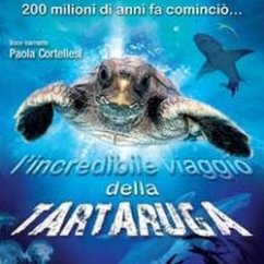 Manifesti e poster