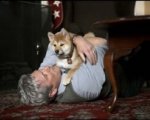 Recensione Hachiko - Il tuo migliore amico (2009)