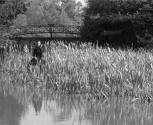 Clytie Jessop in una inquietante scena del film Suspense ( 1961 )
