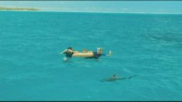 L'isola delle coppie - Clip in italiano 2