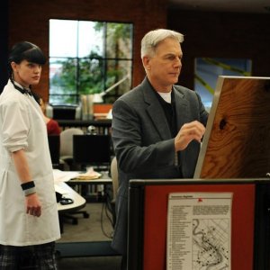Abby (Pauley Perrette) e Gibbs (Mark Harmon) nell'episodio Power Down di Navy NCIS