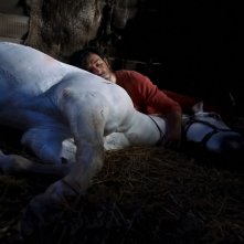 Jolly Jumper e Lucky Luke (Jean Dujardin) dormono assieme in una scena del film Lucky Luke