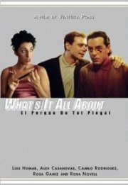 La locandina di Il perchè delle cose