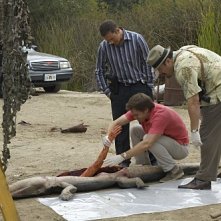 Michael C Hall David Zayas E Desmond Harrington Nell Episodio Slack Tide Di Dexter 137458