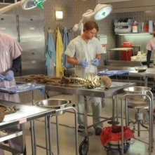 Omar Epps, Jennifer Morrison e Jesse Spencer in una scena di Brave Heart dalla sesta stagione di Dr. House: Medical Division