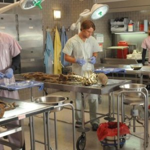 Omar Epps, Jennifer Morrison e Jesse Spencer in una scena di Brave Heart dalla sesta stagione di Dr. House: Medical Division