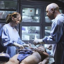 Grey S Anatomy James Pickens Jr Ed Ellen Pompeo Nell Episodio Holidaze 138277