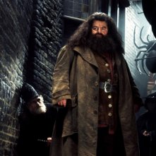 Hagrid (Robbie Coltrane) a Nocturne Alley in una scena di Harry Potter e la camera dei segreti