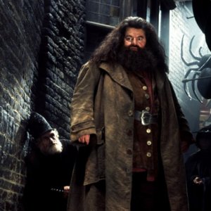 Hagrid (Robbie Coltrane) a Nocturne Alley in una scena di Harry Potter e la camera dei segreti