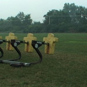 Un'immagine di 45365 di Bill e Turner Ross