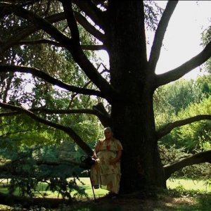 Una immagine de Il vangelo secondo Maria