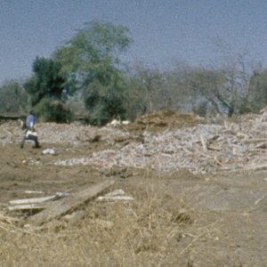 Una immagine di COMMON GROUND di Vera Brunner-Song (2008)