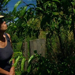 Una immagine di HORS SAISON di Jean-Claude Cottet (2008)