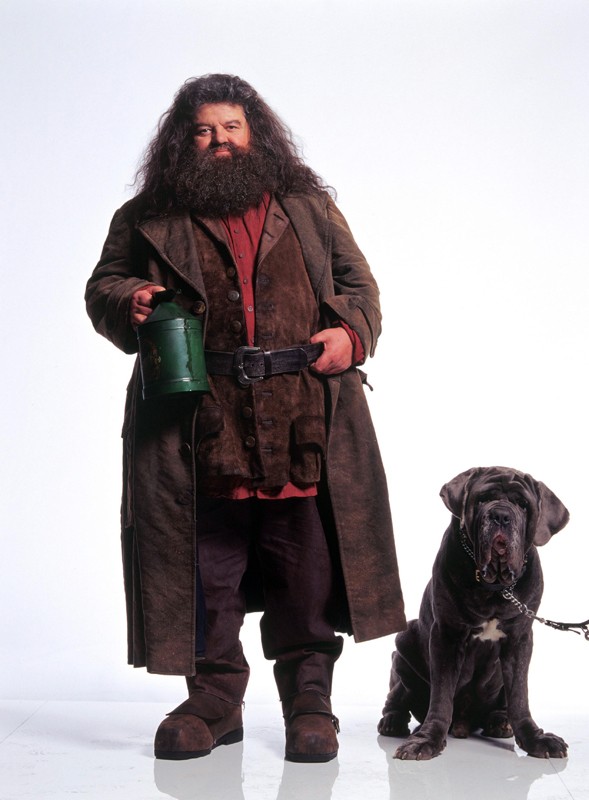 Rubeus Hagrid Robbie Coltrane E Il Suo Cane Thor In Una Foto Promozionale Per Il Film Harry Potter E La Camera Dei Segreti 138439