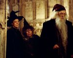 Harry Potter, Miriam Margolyes invita i fan adulti a smetterla con l'idolatria: 'È un franchise per bambini'