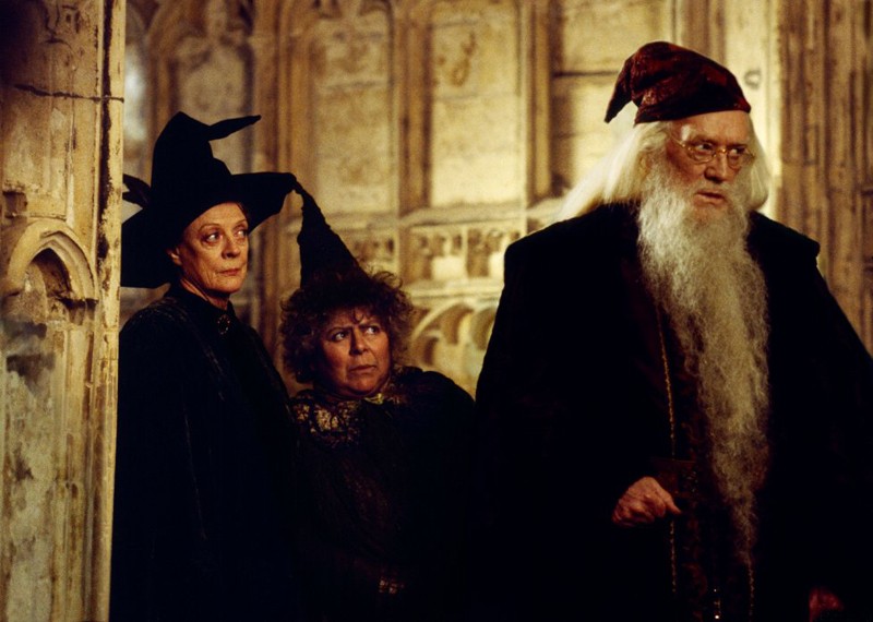 Harry Potter, Miriam Margolyes invita i fan adulti a smetterla con l'idolatria: 'È un franchise per bambini'