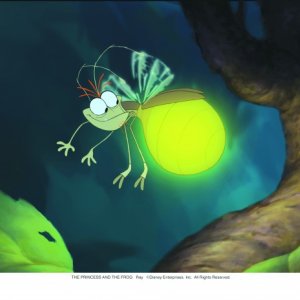La simpatica lucciola Ray è tra i protagonisti del cartoon La principessa il ranocchio (2009)