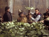 Harry Potter, Miriam Margolyes contro J.K. Rowling: 'Il suo atteggiamento anti-trans è troppo duro'