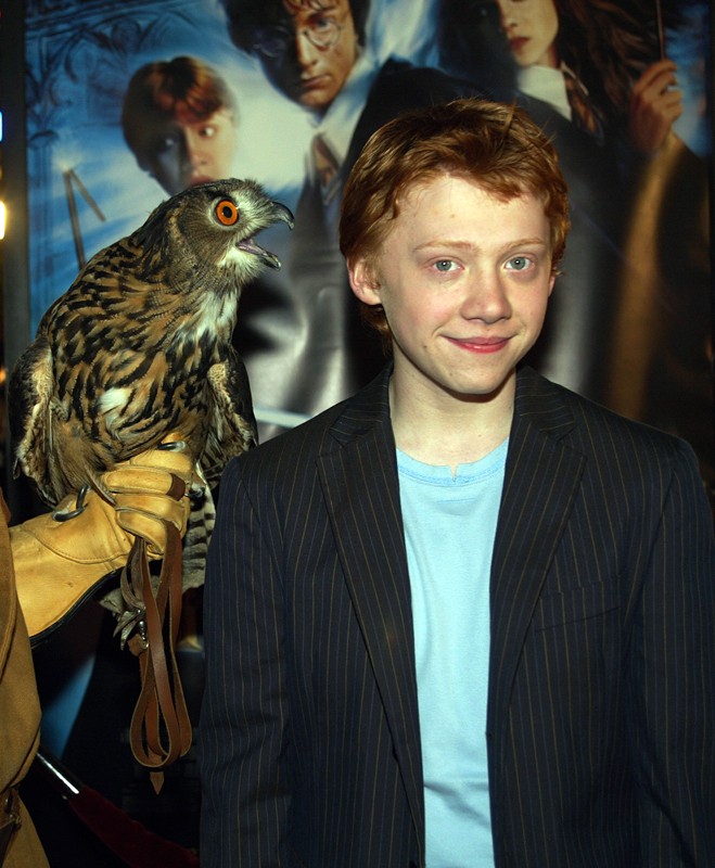 Rupert Grint Posa Con Un Gufetto Alla Premiere Del Film Harry Potter E La Camera Dei Segreti A Los Angeles Il 14 Novembre 2002 139036