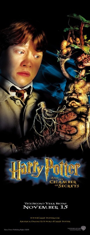 Un Character Poster Di Ron Weasley Per Il Film Harry Potter E La Camera Dei Segreti 139025