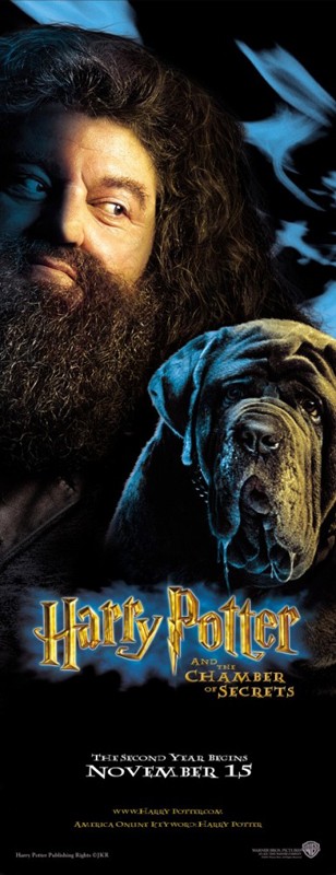 Un Character Poster Di Rubeus Hagrid Per Il Film Harry Potter E La Camera Dei Segreti 139026