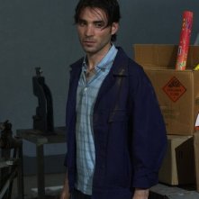 Fausto Verginelli nel cast del film Senza amore (2007)