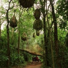 Uno scenario selvaggio del film di arti marziali Ong Bak 2