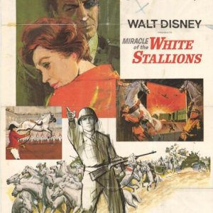 Locandina del film L'ultimo treno da Vienna ( 1963 )