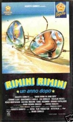 La locandina di Rimini Rimini - Un anno dopo
