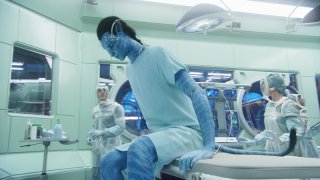 Una sequenza del film Avatar con l'Avatar di Jake nel laboratorio