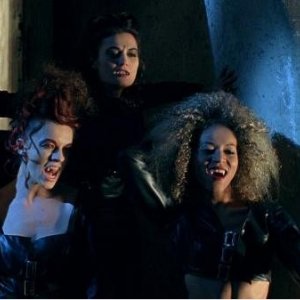 I 'feroci' vampiri di Transylmania.