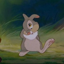 Il tenero Tamburino in una scena del film d'animazione Bambi ( 1942 )