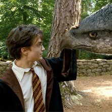 Daniel Radcliffe accarezza Fierobecco sul muso in una scena di Harry Potter e il prigioniero di Azkaban