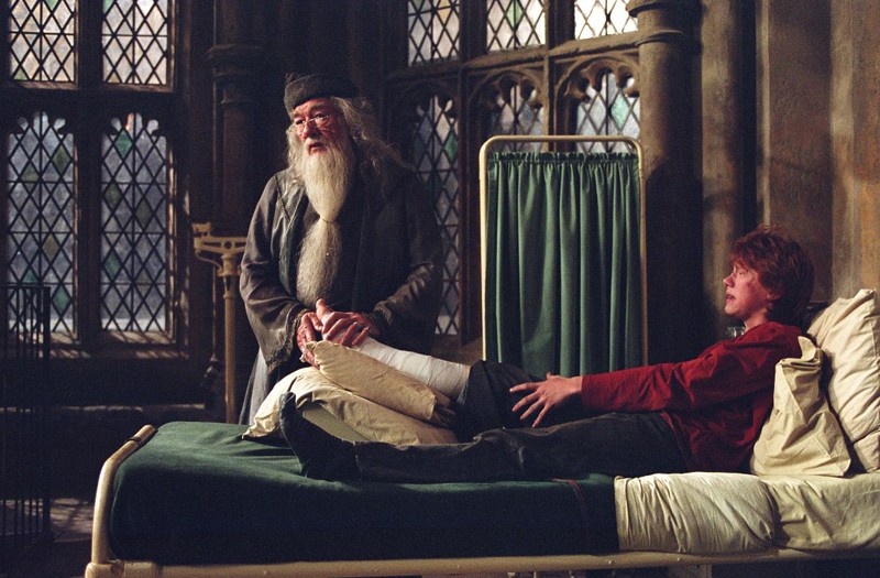 Il Preside Di Hogwarts Albus Silente Michael Gambon E Ron Weasley Rupert Grint 141453