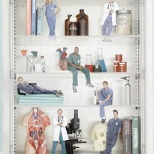 Scrubs: Una immagine promozionale del cast della stagione 9